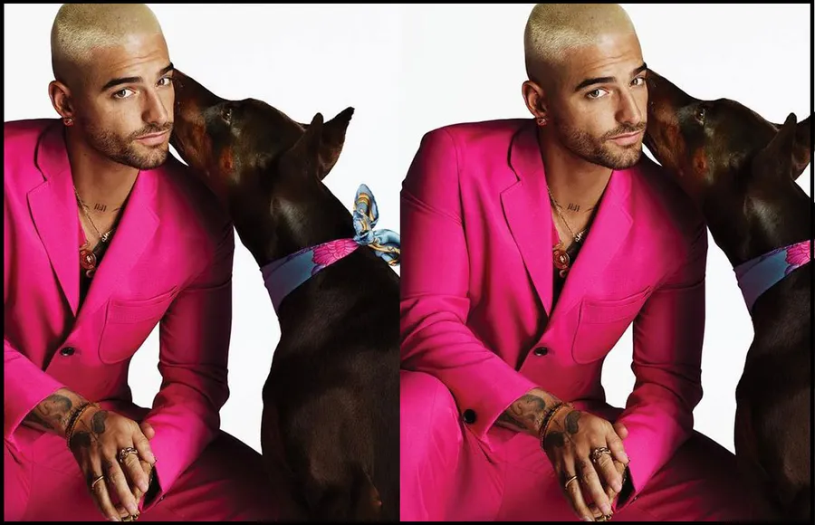 versace maluma perro