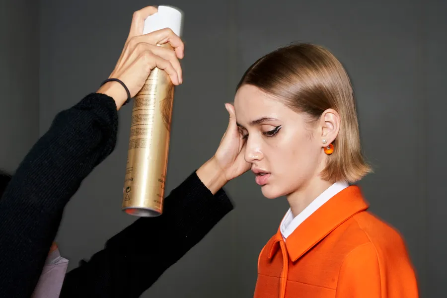 Christian Dior ham S22 012.jpg