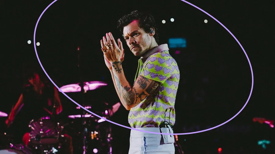 Harry Styles tuvo que pausar su concierto por unos minutos.