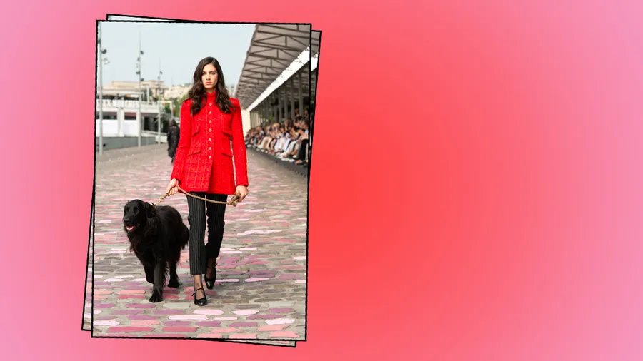 El perrito que se robó la atención en el desfile de Chanel.