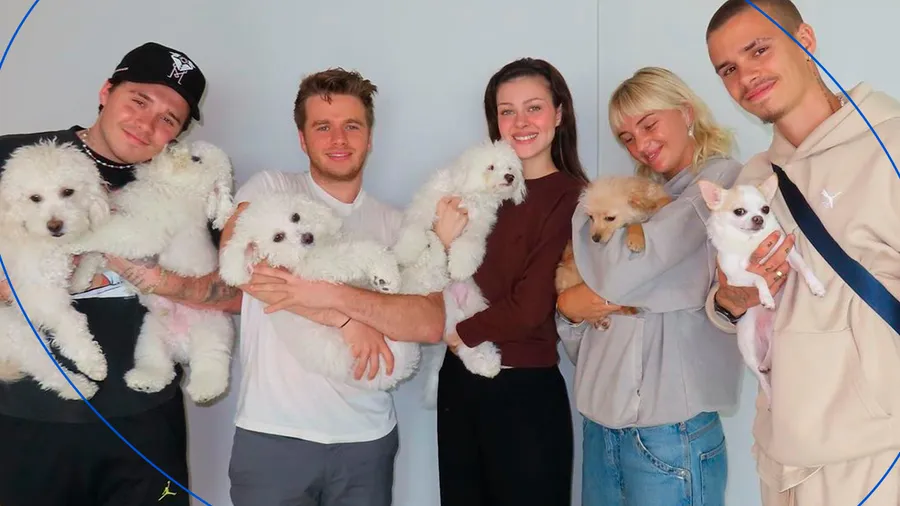 Los Beckham Peltz comparten a seis perritos.