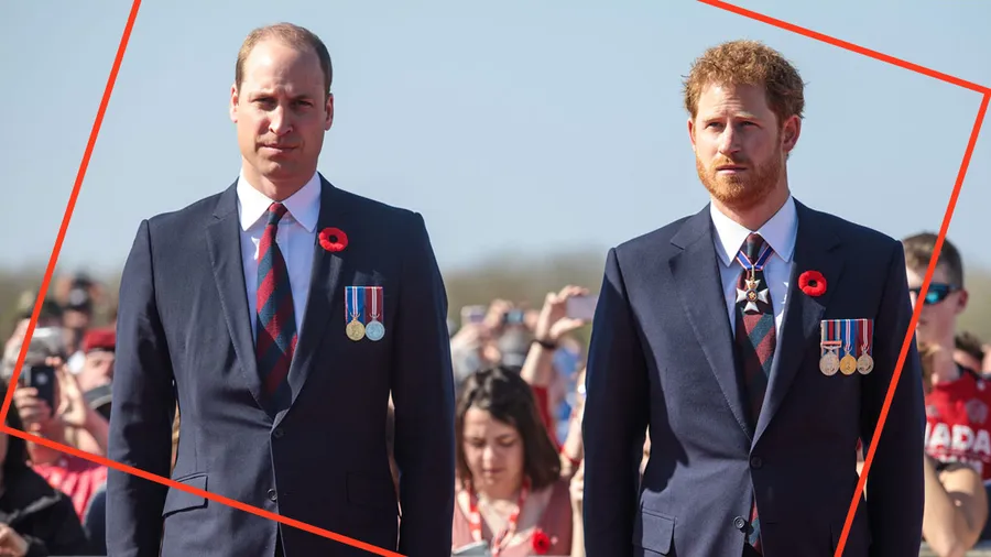 Príncipes harry y william