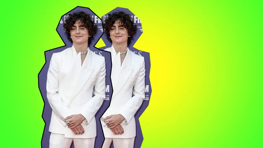 Timothée Chalamet no ha hecho ni una sola audición en siete años.