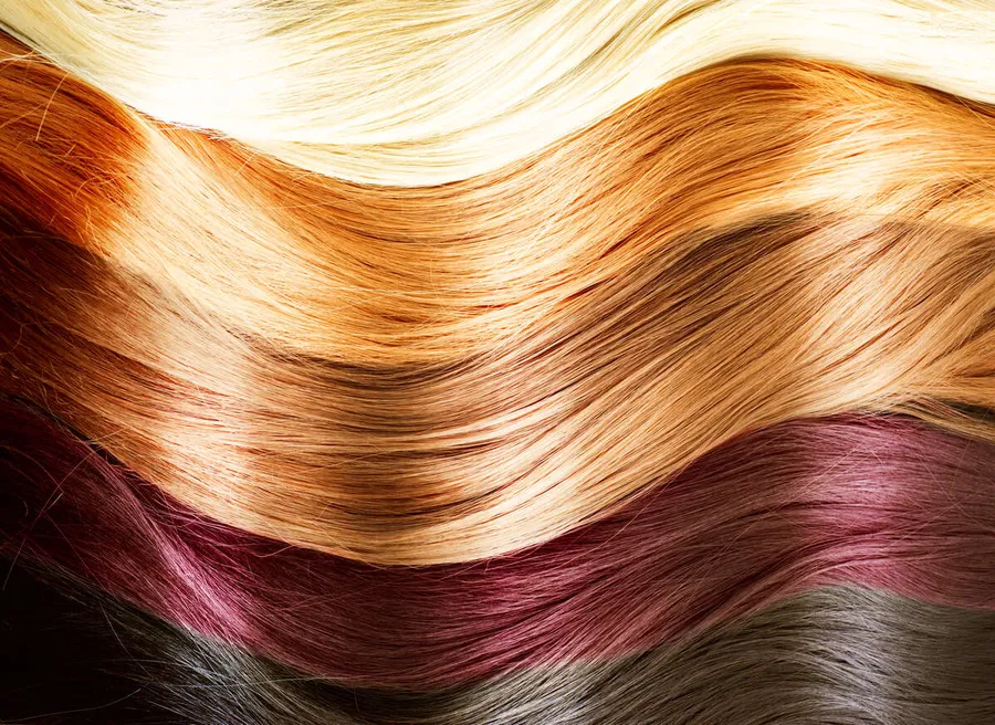 Hair,Colors,Palette.,Hair,Texture