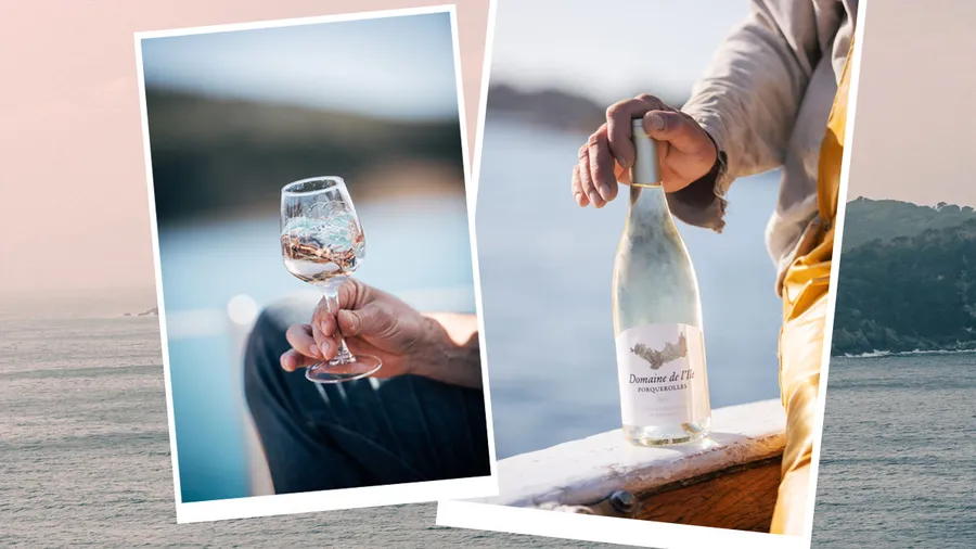 marcas moda vino