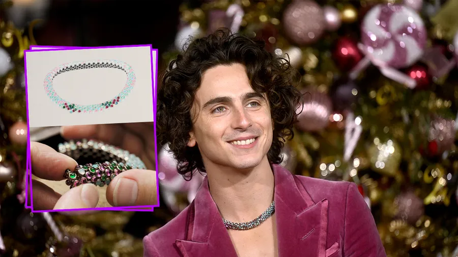 Timothée Chalamet colaboró con Cartier para un collar inspirado en Wonka.