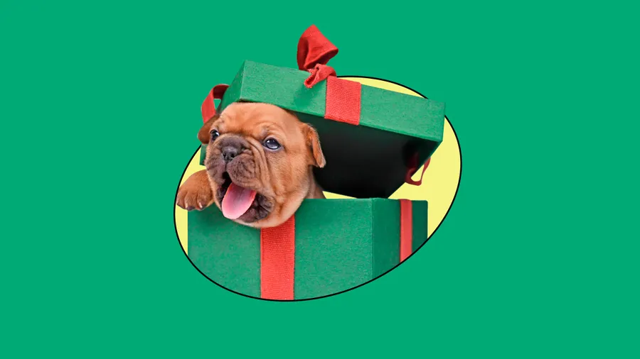 GUÍA-DE-REGALOS.jpg