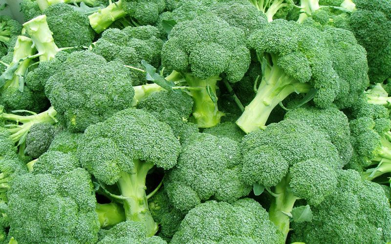 Vegetales-mas-saludables-brocoli
