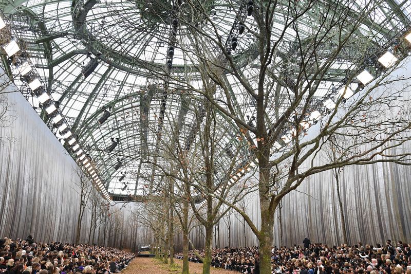Chanel : Runway - Paris Fashion Week Womenswear Fall/Winter 2018/2019
