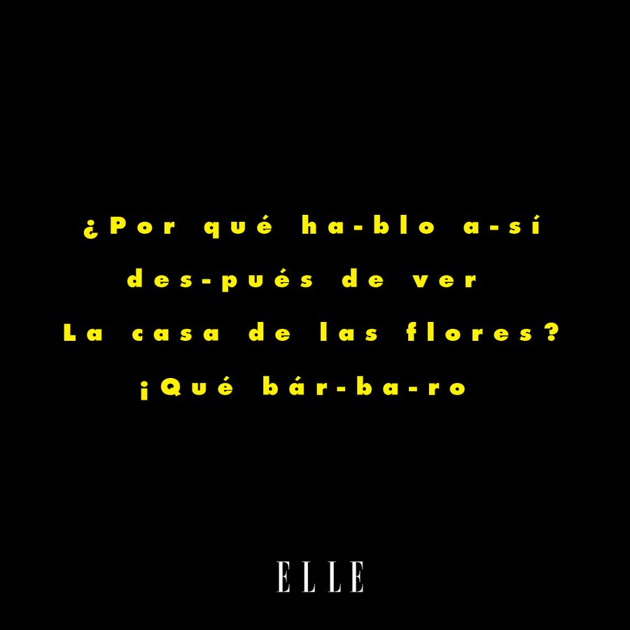 La-Casa-De-Las-Flores-Meme-ELLE-01