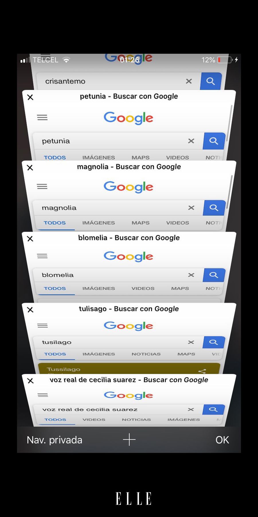 La-Casa-De-Las-Flores-Meme-ELLE-10