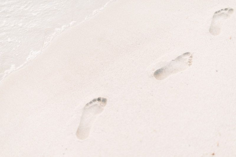 roman-kraft-279919-unsplash