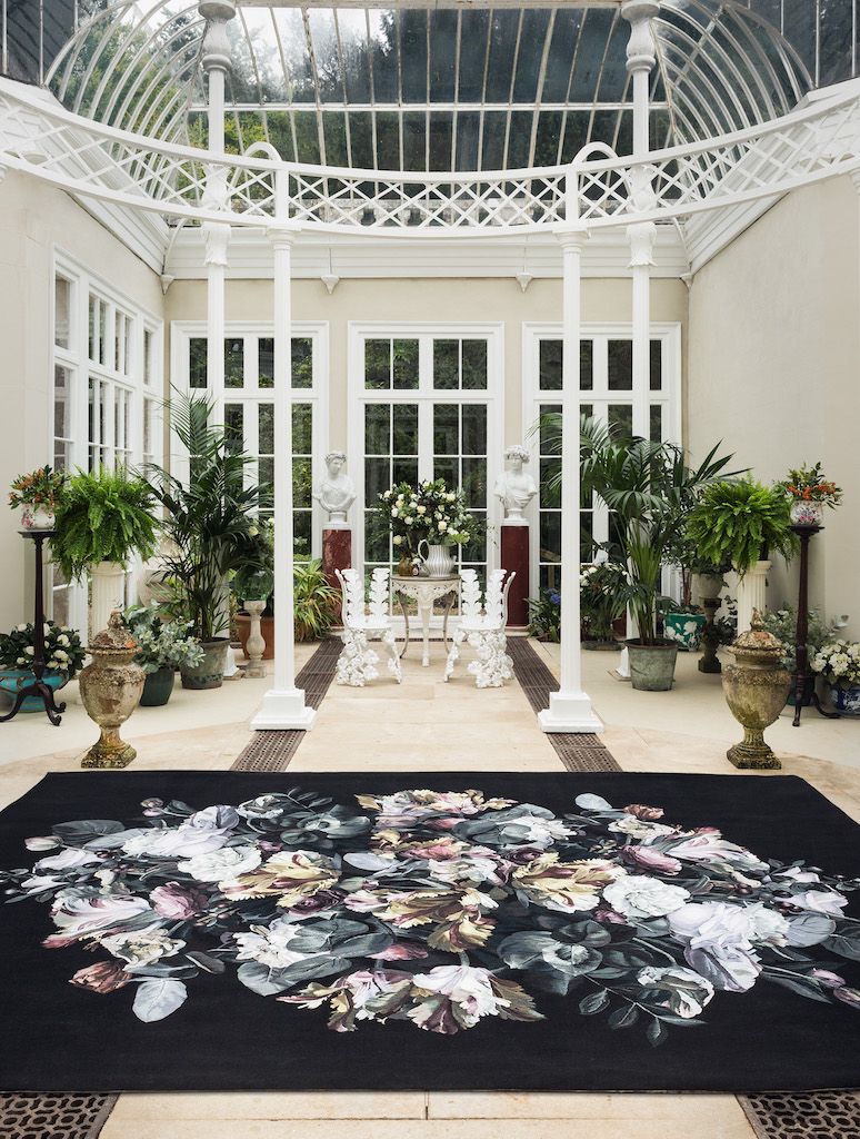 DC_AMQ_CHIAROSCURO_(With LS rug)_R