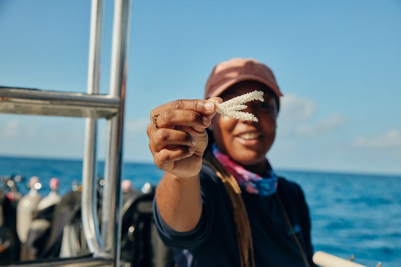 bahamas-1