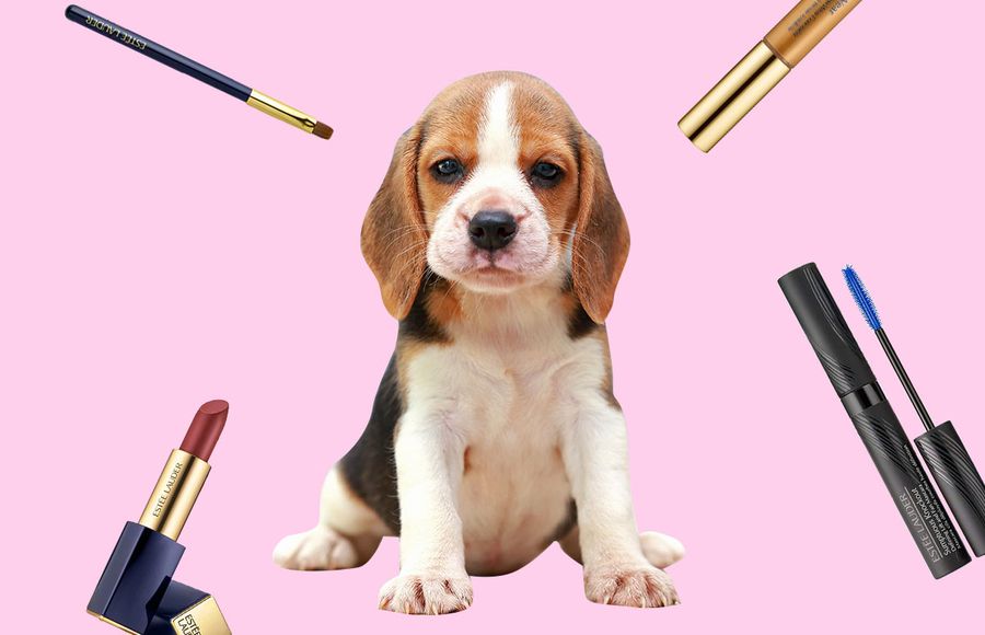 estee-lauder-maquillaje-animales-testing