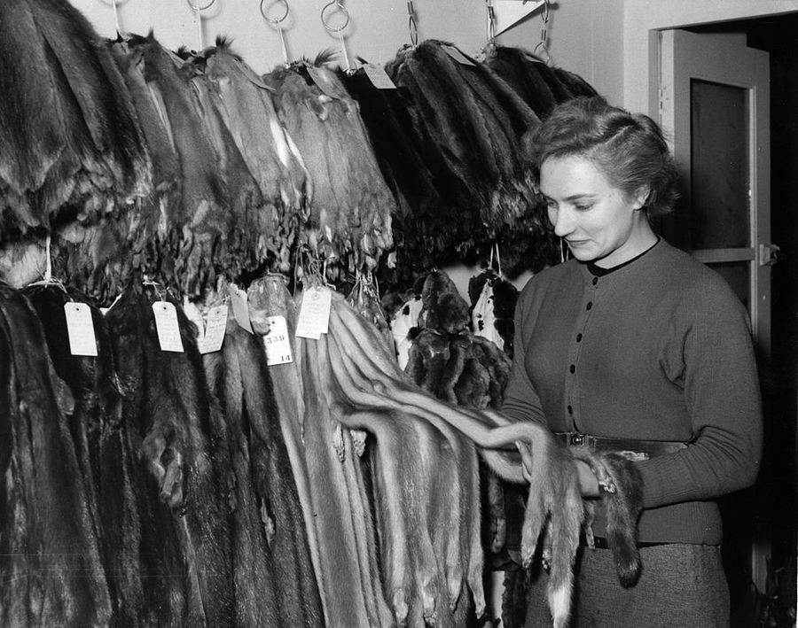 Fur Inspection