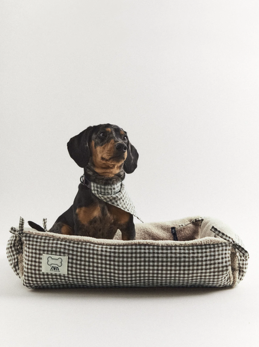 Zara-perros-01.png