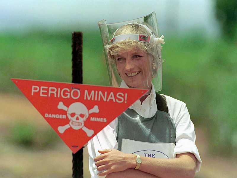 Diana Landmine Visor