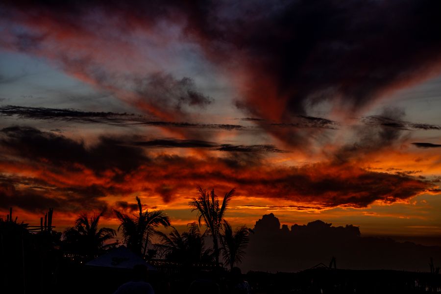 MiVeracruz_2021_IslaDeEnmedio_79.jpg