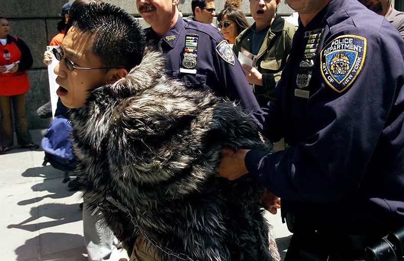 fur free elle international politica sin pieles
