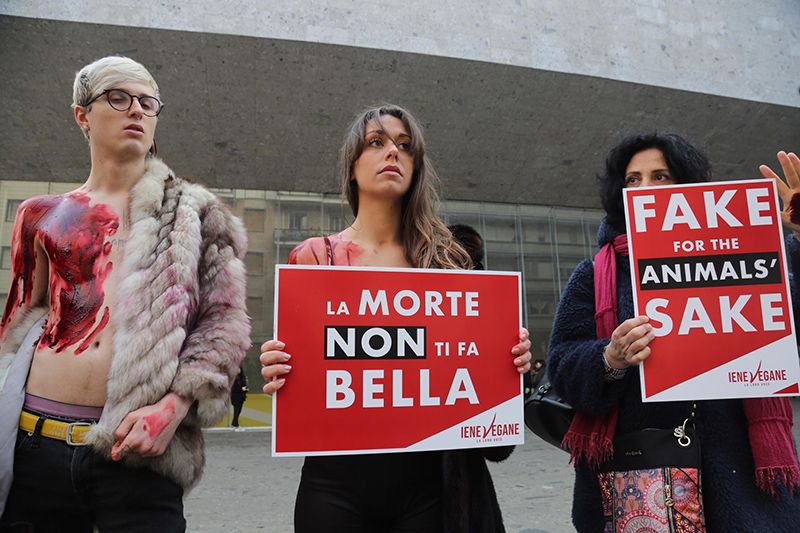 prohibicion pieles italia