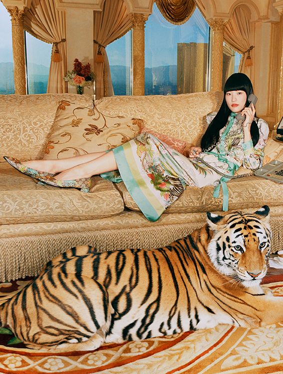 tigre gucci protege