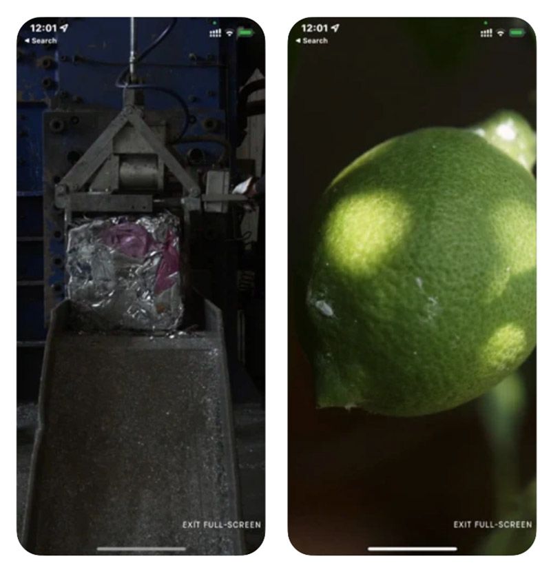 bottega veneta verde app