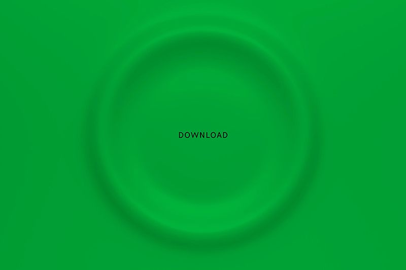bottega veneta app verde