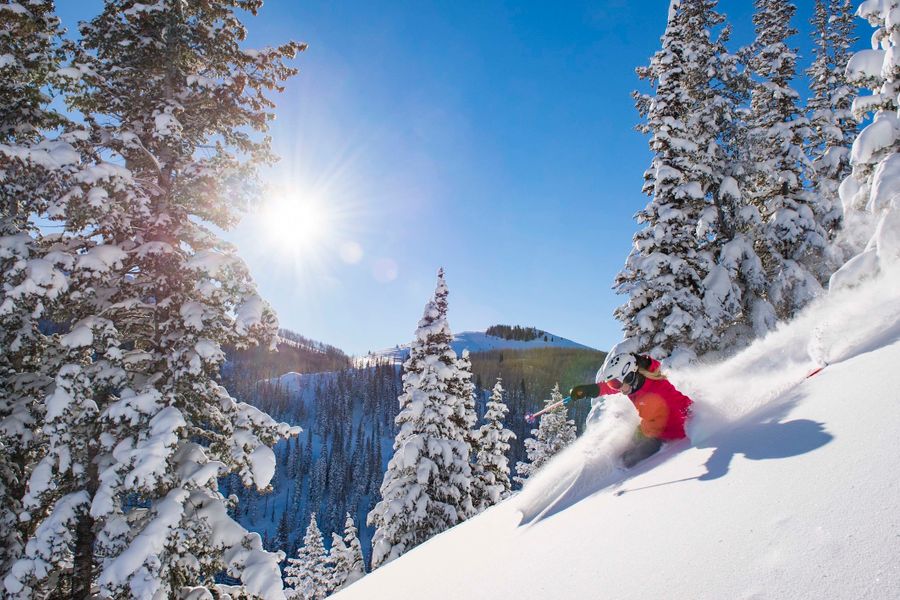 MS_Powder_Skiing_2017_01.jpg.jpg