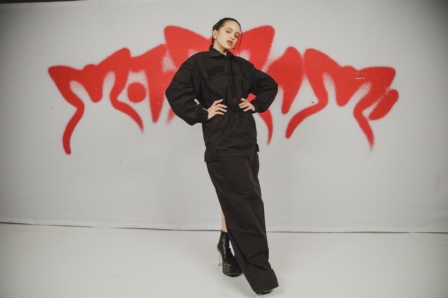 Rosalia_Motomami_124.jpg