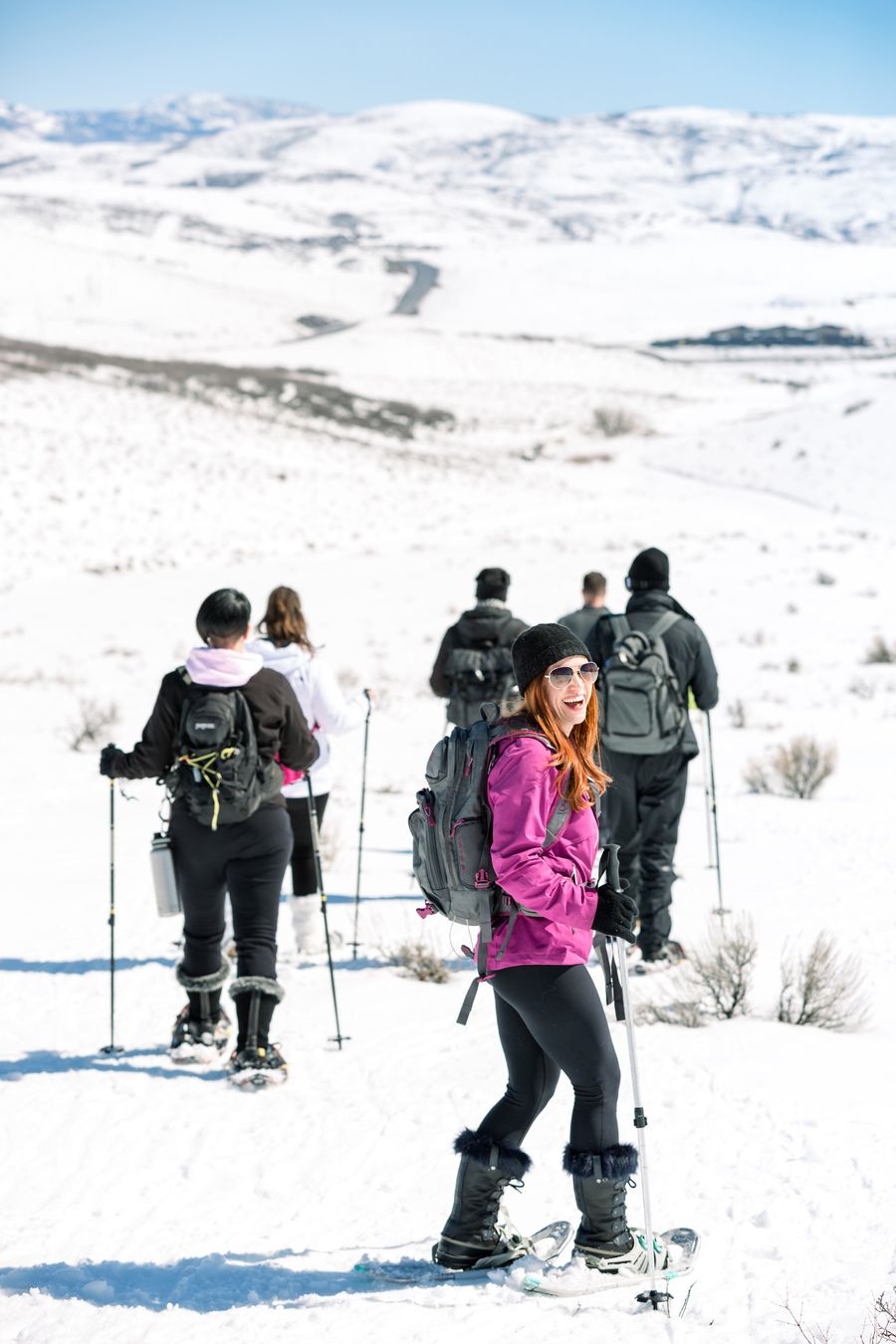 Snowshoe 2.jpg