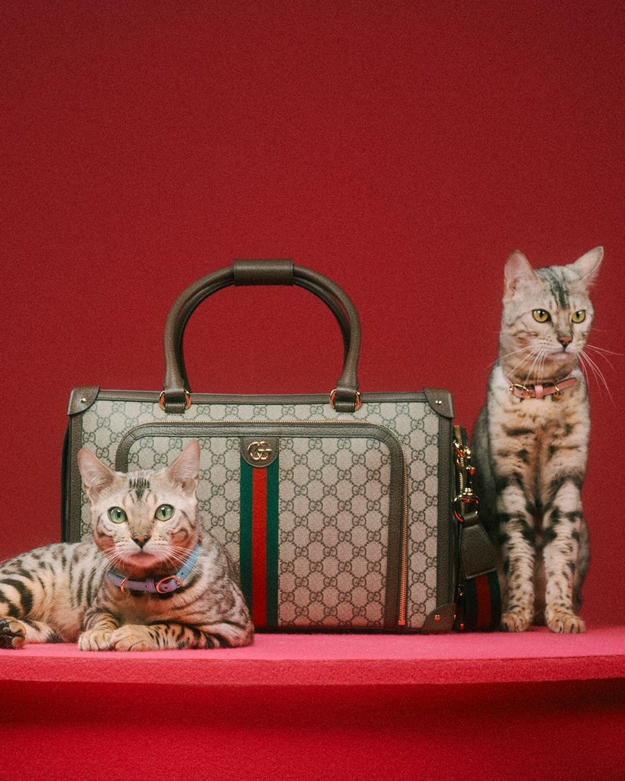 Gucci Lifestyle 1080x135020.jpg