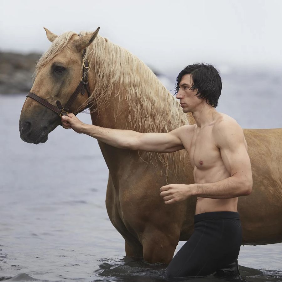 adam-driver-burberry.jpg
