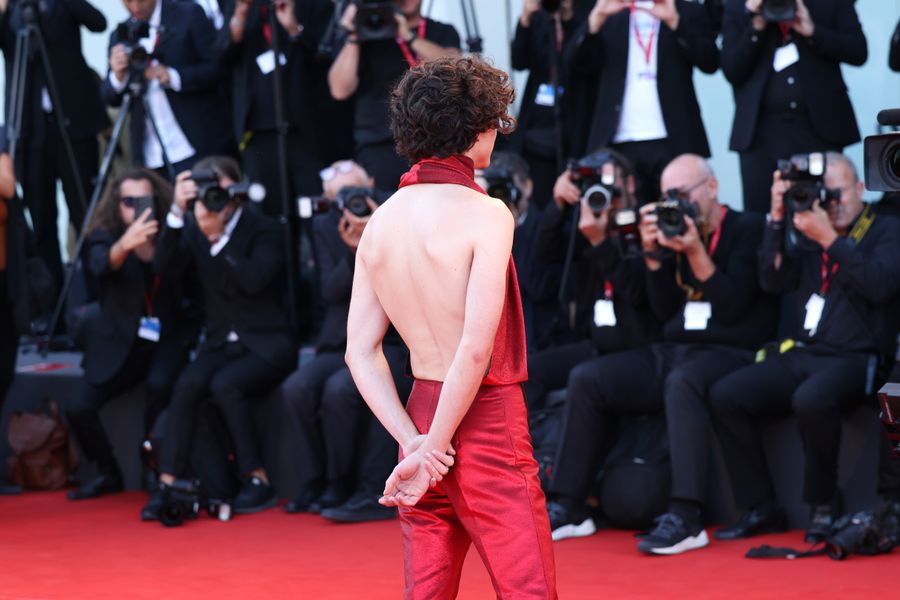 "Bones And All" Red Carpet - 79th Venice International Film Festival