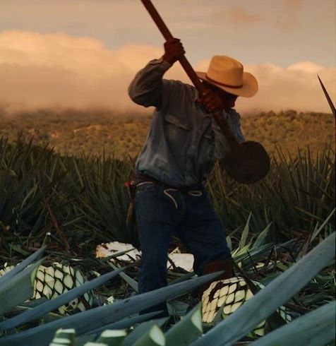 Tequila-Herradura-Historia-Casa-Herradura.jpg
