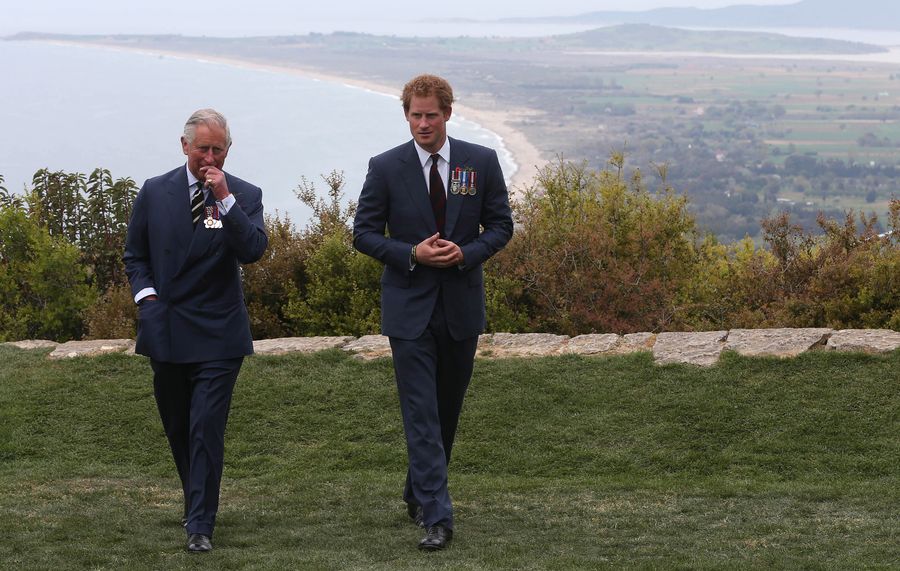 principe-harry-rey-carlos.jpg