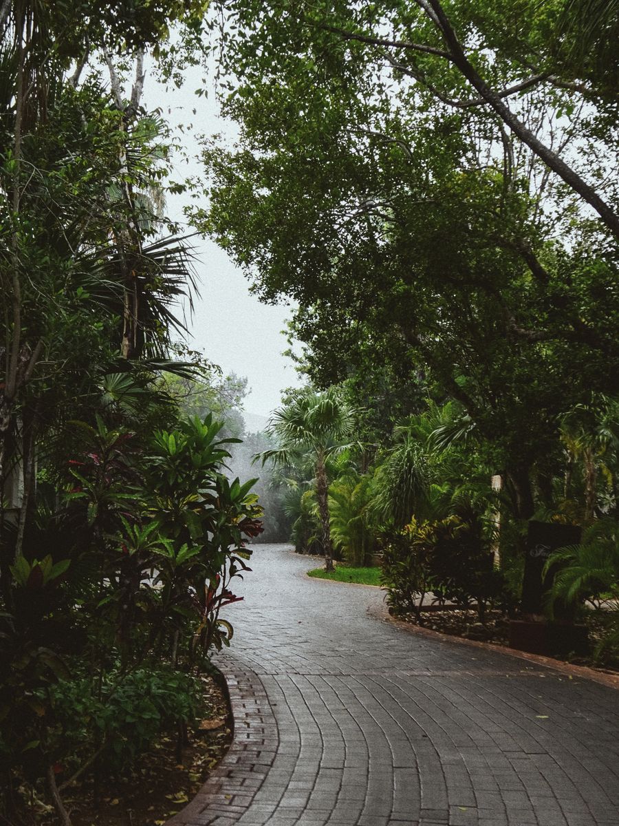 MAYAKOBA-15.JPG