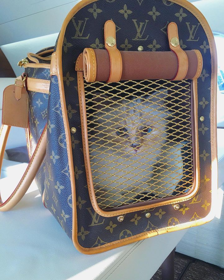 Choupette Lagerfeld tiene una vida muy privilegiada.