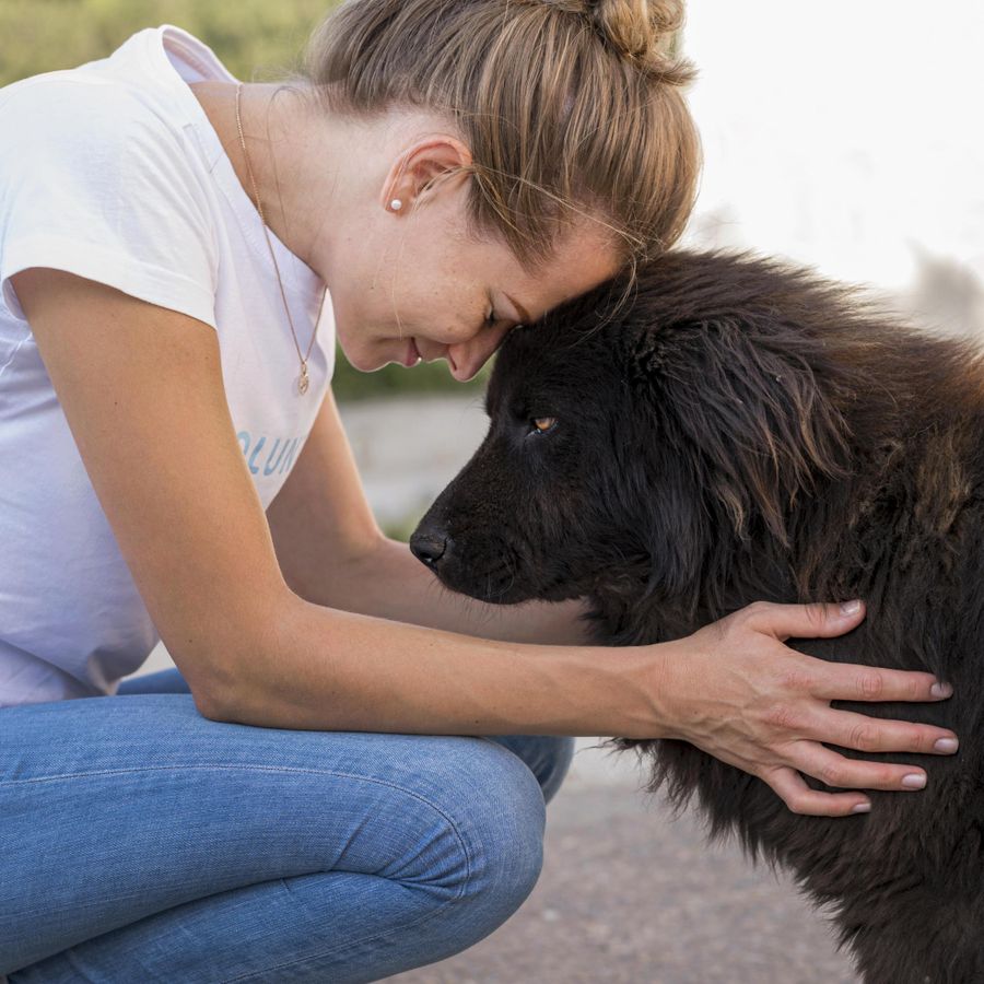 Es muy probable que tu perrito esté soñando contigo todas las noches.