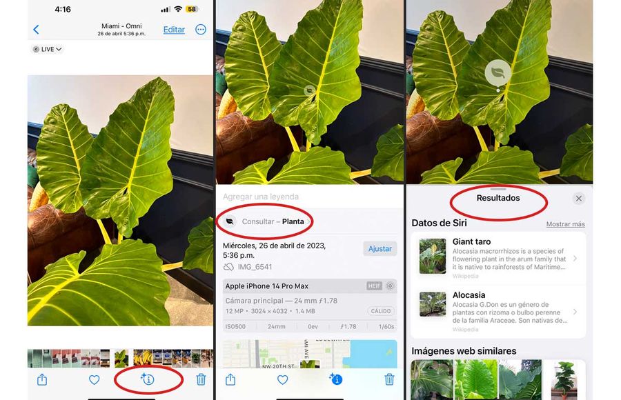 plantas-iphone.jpg