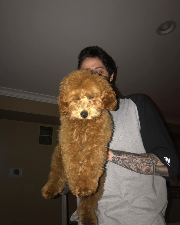pete-davidson-perro.jpg