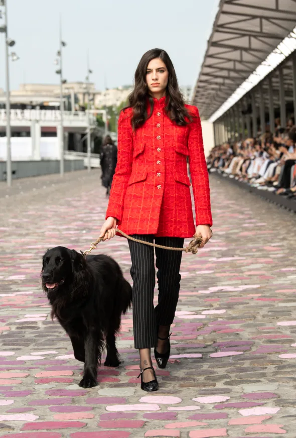Un perrito se une a la pasarela de Chanel.