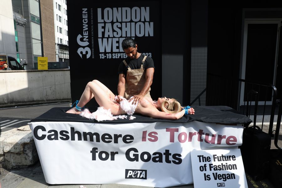 peta cashmere