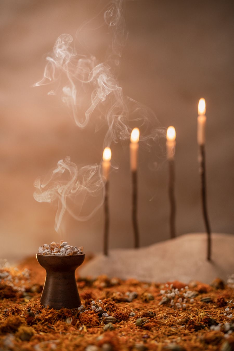DDM_2023_Aromas_13.jpg