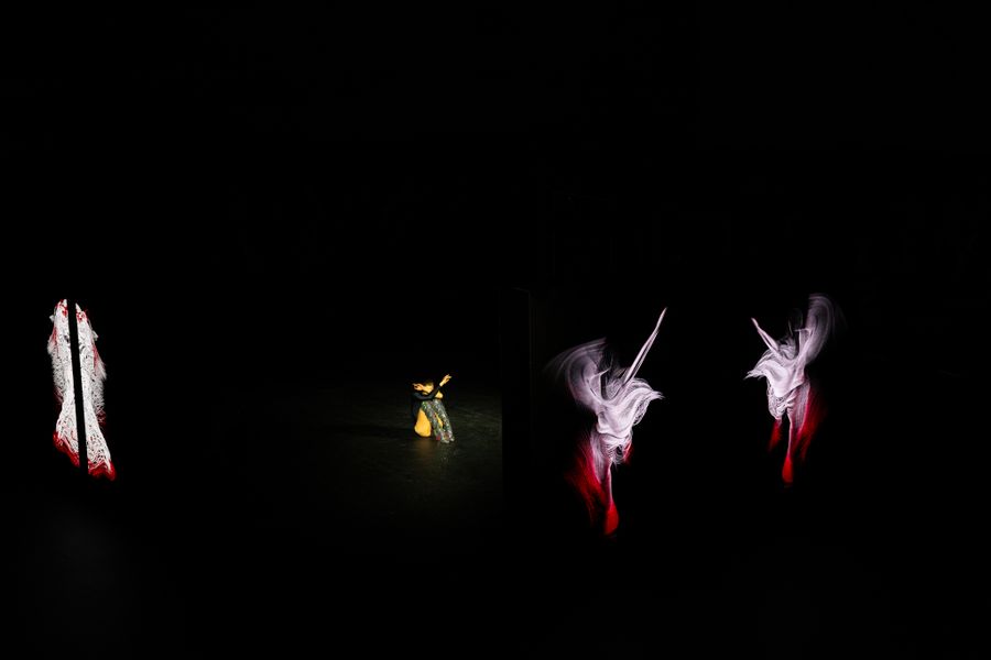 iuliamatei_louboutin_performance_-2.jpg