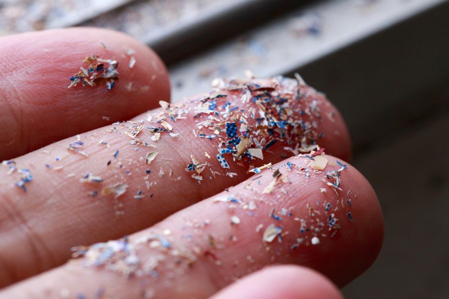 microplasticos