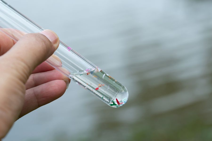 microplasticos