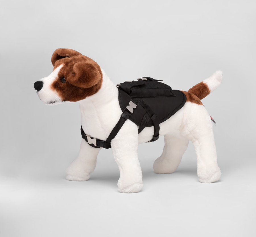 prada perros