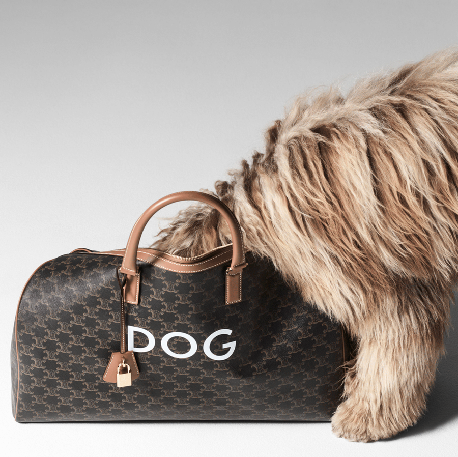celine perros