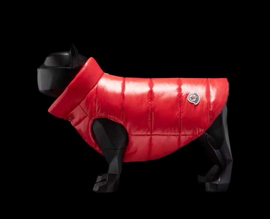 moncler perros